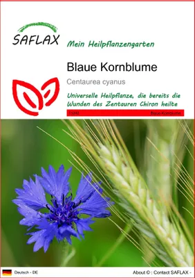 Produktbild von SAFLAX - Blaue Kornblume - Centaurea cyanus - 27000 Samen