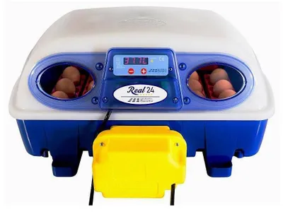 Productafbeelding van Borotto Real 24 broedmachine