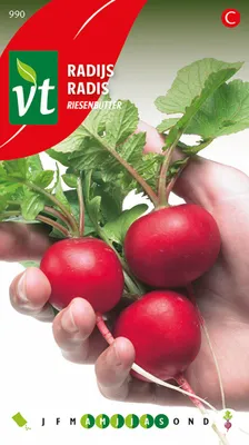 Immagine prodotto di Semi di ravanello gigante al burro - Circa 6 gr | VT_990