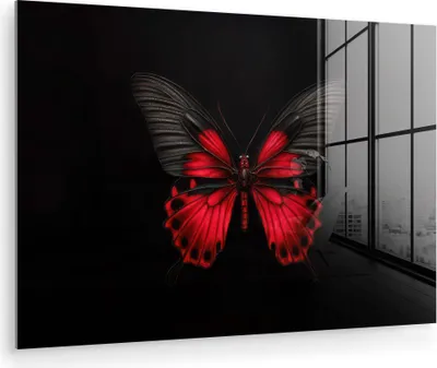 Produktbild von MuchoWow Glasbilder - Bilder auf Wandbild - Foto auf Glas 3-2-64 120x80 cm Wanddekoration aus Glas - Acrylglasbild - Acrylbilder - Abbildung