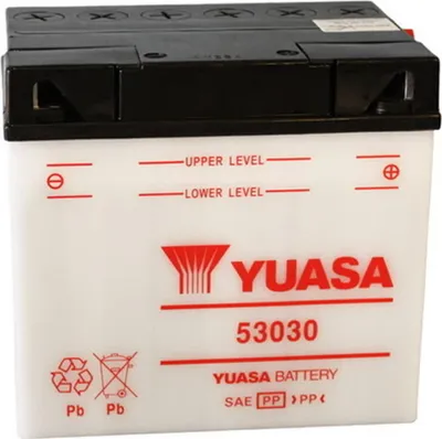 Imagen del producto de Batería YUASA 53030 de 30 Ah, compatible con vehículos BMW