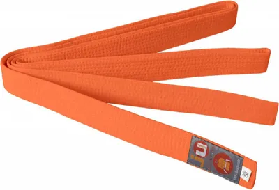 Produktbild von Ju-Sports Budogrtel Orange Lnge 220cm