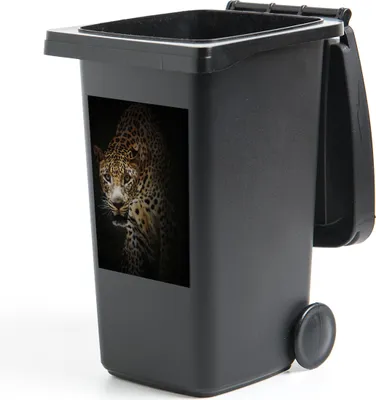 Produktbild von MuchoWow® Mülltonnenaufkleber Leopard - Wilde Tiere - Licht 40x60 cm
