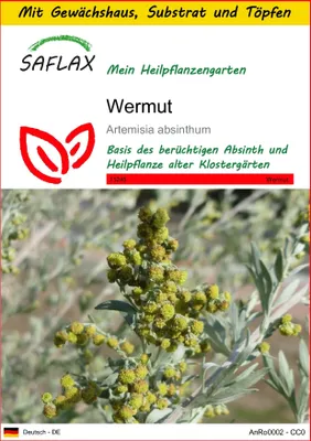 Produktbild von SAFLAX Anzucht Set - Wermut - Artemisia absinthum - 500 Samen - Mit Mini-Gewächshaus, Anzuchtsubstrat und 2 Töpfen