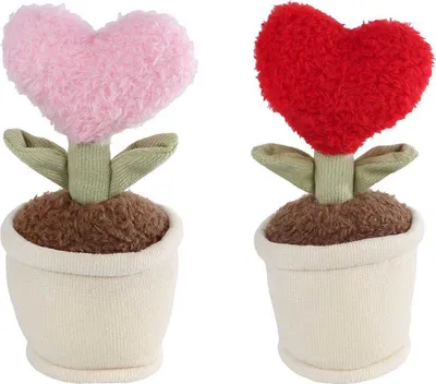 Produktbild von Nimm mich mit nach Hause! Plüschherzpflanze – 16 cm