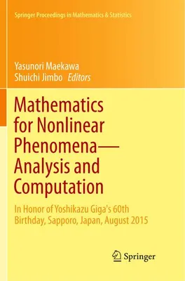 Zdjęcie produktu dla Mathematics for Nonlinear Phenomena - Analysis and Computation