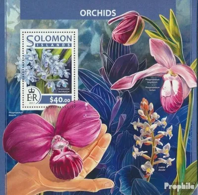 Produktbild von Briefmarken Salomoninseln 2017 Mi Block 636 (kompl. Ausg.) postfrisch Orchideen