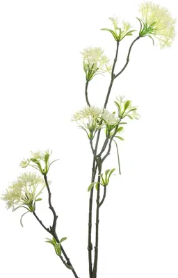 Produktbild von DPI Bowardienzweig Cremeweiß 85 cm - Kunstblumen