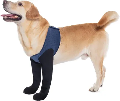 Imagen del producto de Calcetines antideslizantes para perros, impermeables, paquete de 4 unidades, para proteger las patas