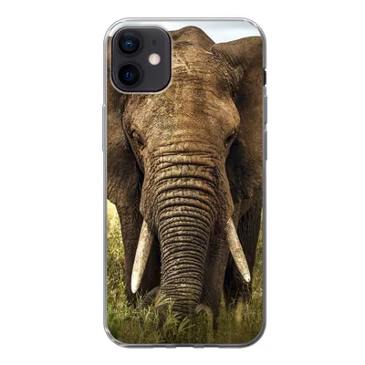 Produktbild von MuchoWow® Handyhülle Schutzhülle Hülle für iPhone 12 mini Elefant - Gras - Tiere - Natur Silikon Softcase Handy Hülle - Bild