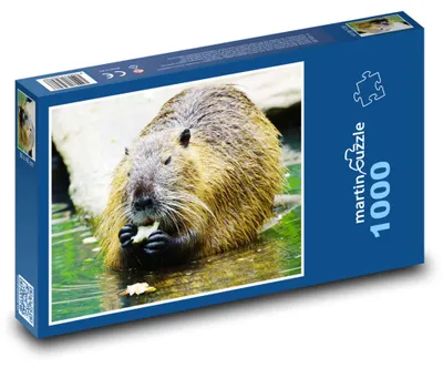 Zdjęcie produktu dla martinpuzzle - Puzzle 1000 elementów - Nutrie