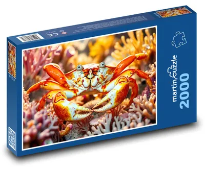 Zdjęcie produktu dla martinpuzzle - Puzzle 2000 - Krab, koralowce