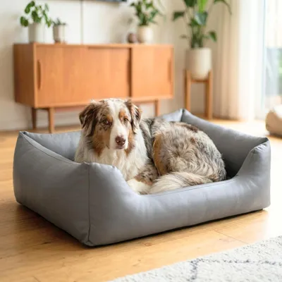 Produktbild von 4L Textil Mario Orthopädisches Hundebett aus Kunstleder Grau 140x110 cm Extra Groß Stabil Wasserabweisend