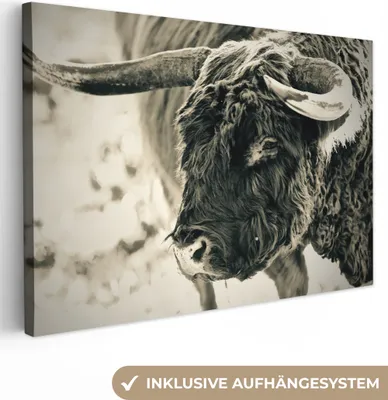 Produktbild von OneMillionCanvasses® - Leinwandbilder - 150x100 cm, Schottisches Hochlandrind - Schnee - Hörner, Wandbilder Kunstdruck Wanddekoration