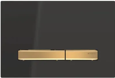 Produktbild von Geberit 115.672.DW.2, Spülplatte, Schwarz, Geberit, 246 mm, 13 mm, 164 mm
