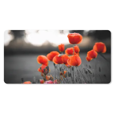 Produktbild von MuchoWow® Schreibtischunterlage Rote Mohnblumen vor schwarzem und weißem Hintergrund 80x40 cm - XXL Mauspad - Gaming Mauspad