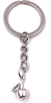 Produktbild von Onwomania Schlüsselanhänger Apfel Obst Stiel Metall Anhänger Charm