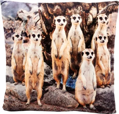 Produktbild von Plüschkissen Erdmännchen 35 x 35 cm Foto Tierkissen