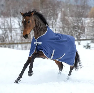 Obrázok produktu pre Bucas Outdoordecke 300g Freedom Turnout Weidedecke Navy/Silver 85