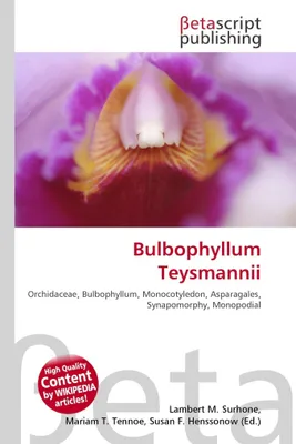 Produktbild von Bulbophyllum Teysmannii
