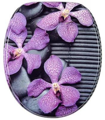 Produktbild von SANILO® WC-Sitz Vanda, Toilettendeckel direkt vom Hersteller, Klodeckel, Klobrille, WC Deckel, Toilettensitz, Toilettenbrille, WC Brille