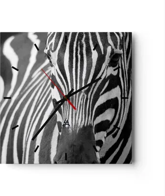 Produktbild von Wanduhr - Quadrat - Glasuhr - Tiere Zebra gestreift - 30x30cm - Schleichendes Uhrwerk - Lautlos - zum Aufhängen bereit - Dekoration Modern - Wanddekoration aus Glas - C3AC30x30-2254