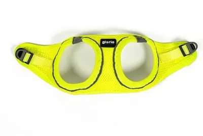 Zdjęcie produktu dla Gloria Air Mesh Trek Star Hundegeschirr 3XS 3XS