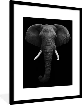 Produktbild von MuchoWow® Gerahmtes Poster Elefant - Wildtiere - Schwarz - Weiß - Porträt 60x80 cm - Poster mit Schwarzem Bilderrahmen Wandposter Rahmen Foto Bilder - Wohnzimmer - Dekorationen - Prämie