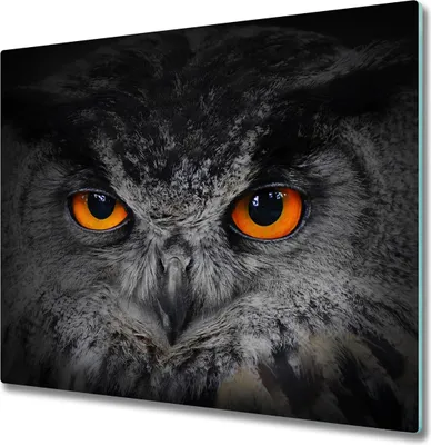 Produktbild von Glas Herdabdeckplatte 60x52 cm Spritzschutz Glasabdeckplatte Schneidebrett Teufelsaugen Eule