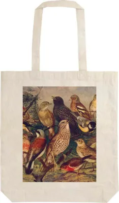 Zdjęcie produktu dla Torba materiałowa Birds