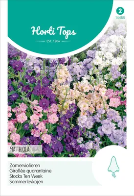 Produktbild von Sommerlevkoje Mischung | Blumensamen von Hortitops