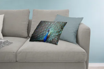 Produktbild von MuchoWow® Zierkissen Sofakissen Wohnzimmer Dekokissen 60x40 cm Pfau - Federn - Farben - Kopfkissen - Polster mit Foto