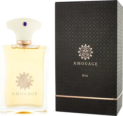 Produktbild von Amouage Dia pour Homme Eau De Parfum 100 ml (man)