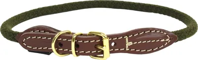 Image de Collier pour chien Duvo+ Forest vert, taille : XL
