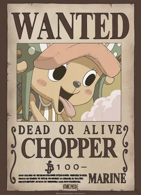 Produktbild von Poster One Piece Wanted Chopper 38x52cm