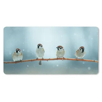 Produktbild von MuchoWow® Mauspad Mousepad Vögel - Spatz - Schnee - Winter 60x30 cm - Mousepads - Maus Mat - Pad - Mausunterlage - Nachhaltig
