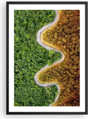 Produktbild von Gerahmtes Poster - Schwarzer Rahmen - Luftaufnahmen Weg Wald - 50x70 cm - Wand Bild - Wanddeko - Wandbilder - Kunstposter - Wandposter - Bilderrahmen - Bilder - Kunstdruck - P2BPA50x70-4659
