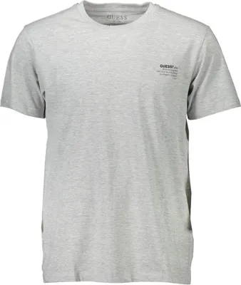 Produktbild von Graues Herren-T-Shirt, Kurzarm, Regular Fit, mit Logo-Print