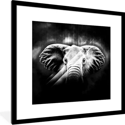Produktbild von MuchoWow® Gerahmtes Poster Elefant - Linie - Licht - Schwarz - Weiß 40x40 cm - Poster mit Schwarzem Bilderrahmen Wandposter Rahmen Foto Bilder - Poster - Plakat im Rahmen