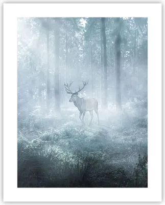 Produktbild von Poster - Poster ohne Rahmen - Hirsch Wald Morgendämmerung - 40x50 cm - Wand Bild - Wanddeko - Wandbilder - Kunstposter - Wandposter - Bilder - Kunstdruck - Wanddekoration - Wandbild - P2XPA40x50-4667