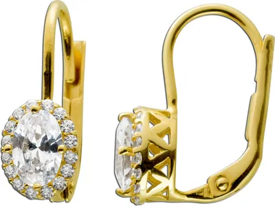 Produktbild von Ohrhänger Halo Gelbgold 333 8 Karat weiße Zirkonia Klapp Scharnier
