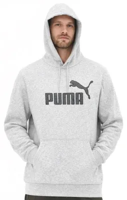Produktbild von Puma Sweatshirts 67191501 Grau