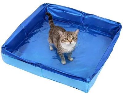 Immagine prodotto di Piscina pieghevole per cani di piccola taglia e gatti