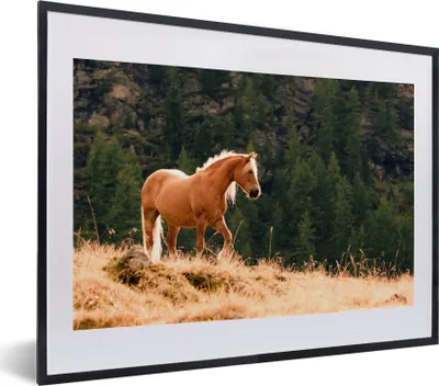 Produktbild von MuchoWow® MuchoWow® Gerahmtes Poster Haflingerpferd im gelben Gras 40x30 cm - Poster mit zchwarzem Bilderrahmen - Bilderrahmen - Poster im Rahmen
