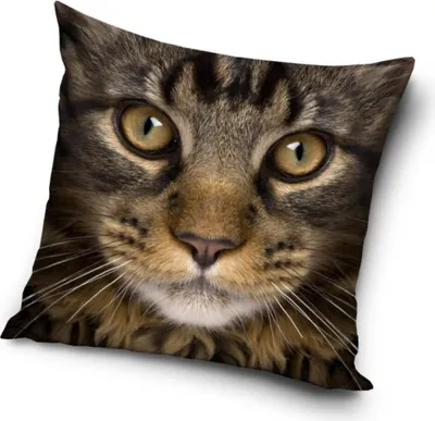 Immagine prodotto di Federa per cuscino Gatto 40*40 cm