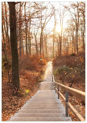 Produktbild von Wallario Premium Glasbild, freischwebende Optik, kräftige Farben, Größe 100 x 70 cm Motiv Weg in den Sonnenuntergang