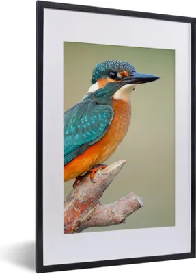 Produktbild von MuchoWow® Gerahmtes Poster Vogel - Eisvogel - Zweig 40x60 cm - Poster mit Schwarzem Bilderrahmen Wandposter Rahmen Foto Bilder - Poster in Rahmen