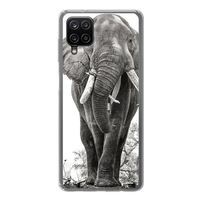 Produktbild von MuchoWow® Handyhülle Schutzhülle Hülle für Samsung Galaxy A12 Elefant - Porträt - Tiere - Schwarz und weiß Silikon Softcase Handy Hülle - Bild