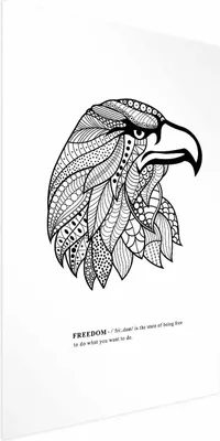 Produktbild von Posterpapier Poster - Eagle of Freedom 60x90 cm Tiere g-A-0174-ao-a