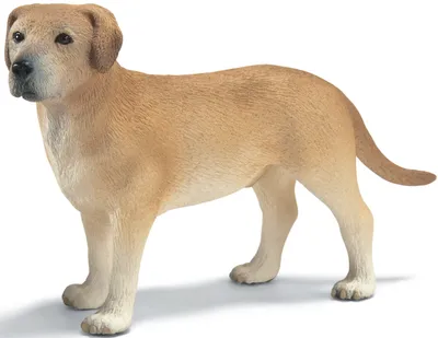 Image de Schleich 16386 Labrador mâle
